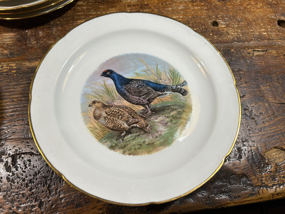 24 assiettes plates porcelaine Vierzon décors gibiers réf 4161
