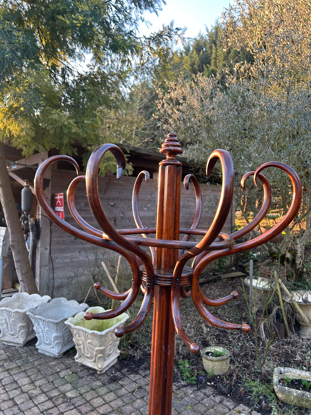 Perroquet de Bistrot Style Thonet 1920/30 Vintage