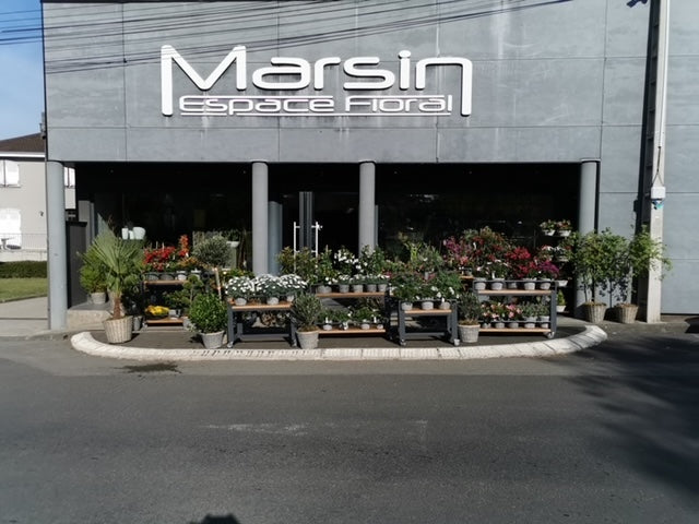 Desserte à roulette thermolaquè PRIX de base : 1200€ réf 3685