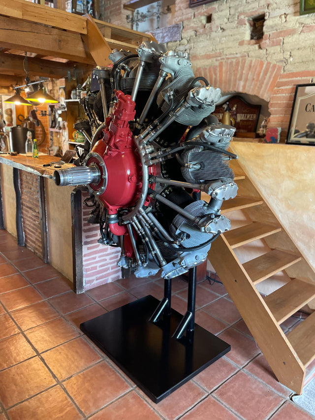 Moteur avion CHVETSOV ASH-62 PRIX : 12900€ réf 3922 - BROCANTETENDANCE -