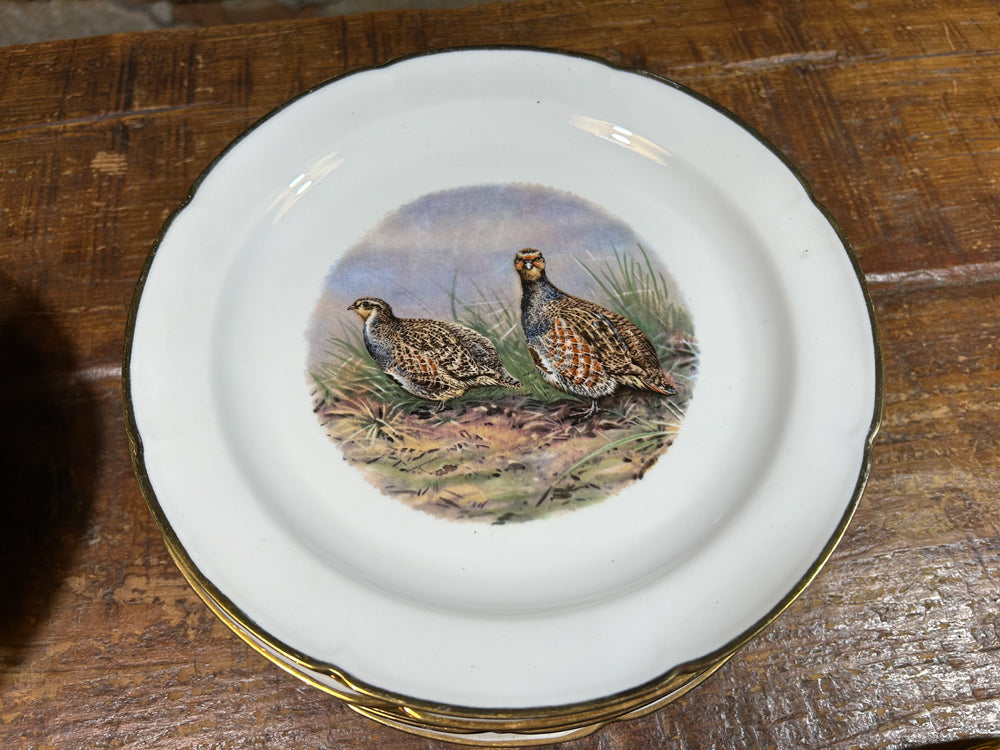 24 assiettes plates porcelaine Vierzon décors gibiers  réf 4161