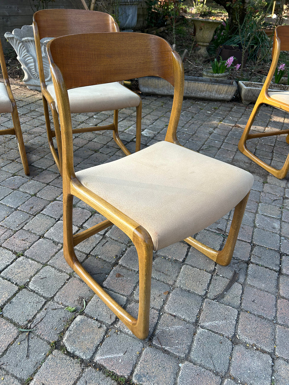 Lot de chaises traineau Baumann 1960 Réf 4445