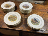 24 assiettes plates porcelaine Vierzon décors gibiers  réf 4161