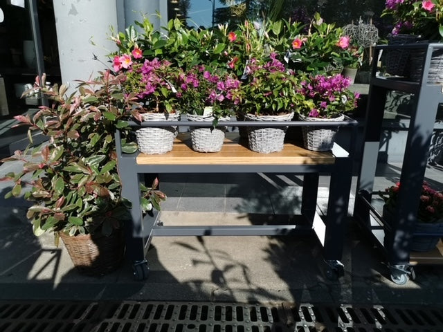 Desserte à roulette thermolaquè PRIX de base : 1200€ réf 3685