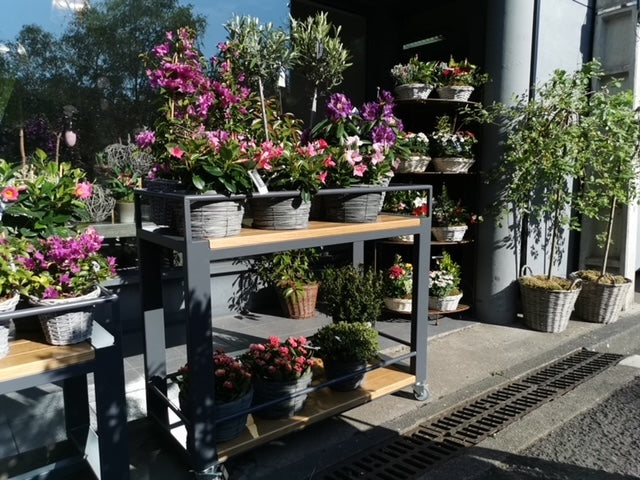 Desserte à roulette thermolaquè PRIX de base : 1200€ réf 3685